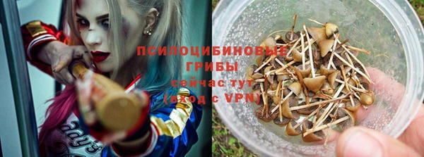 эйфоретик Алзамай
