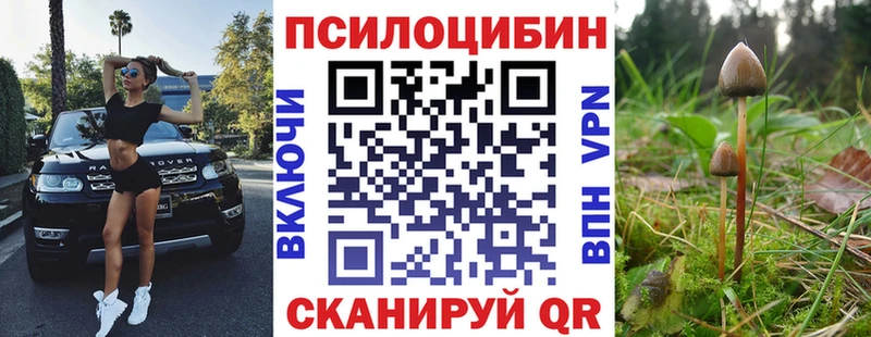 Псилоцибиновые грибы MAGIC MUSHROOMS  Ак-Довурак 